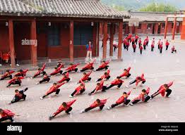 Image result for Shaolin Ancestors kung Fu School