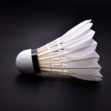 Image result for Feathers Badminton- Leatherhead
