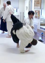 Image result for Coldharbour Aikido Club