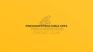 Image result for Finchampstead Netball Club