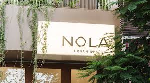 Attēlu rezultāti vaicājumam “Nola sp.”