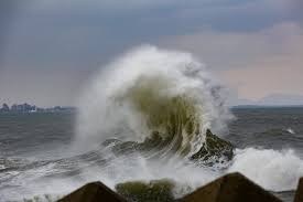 Image result for 高潮 津波 別物