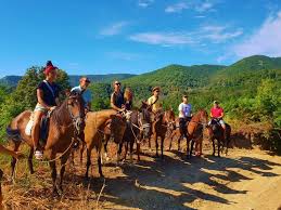 Image result for Abinger Forest Riding Club
