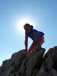 Image result for mountain top seashell