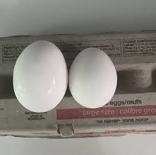 Attēlu rezultāti vaicājumam “Grus grus eggs”