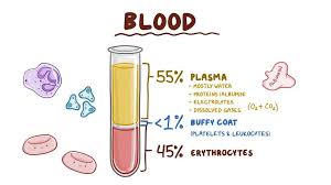 Image result for blood