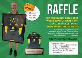 Image result for Mellis Cricket Club