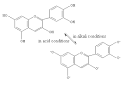Flavonoids