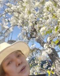 「桃井桜」の画像検索結果