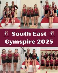 Image result for Cardiff Olympic Gymnastics Club