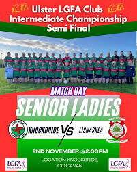 Image result for Lisnaskea Emmetts Gfc