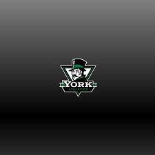 Image result for York Summer School Badminton Club