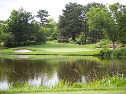 Image result for Flint Golf Club