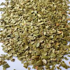 Attēlu rezultāti vaicājumam “Arctostaphylos uva-ursi leaf”