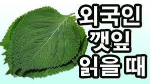 Image result for 깱깲깳깴깵깶깷깺깾깿꺀꺁꺂꺃꺆꺇꺈꺉꺊꺋꺍꺎꺏꺐