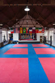 Image result for GBMAA EPSOM AND LEATHERHEAD MARTIAL ARTS ACADEMY