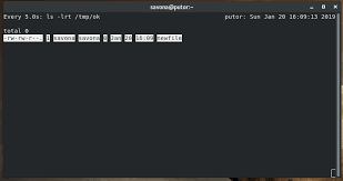 Image result for Linux watch