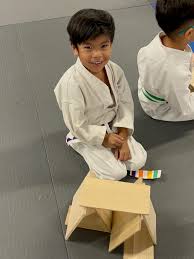 Image result for Skillz Martial Arts