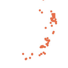 Attēlu rezultāti vaicājumam “Phaeoceros laevis subsp. carolinianus”