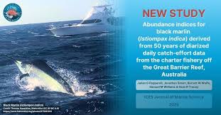 Image result for Istiompax indica