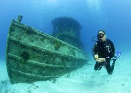 Image result for Worcester Divers Octopush Club