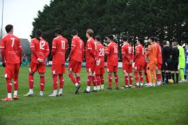 Image result for Walton & Hersham Football Club