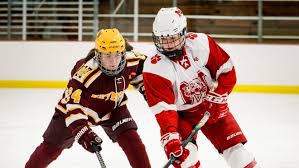 Image result for New Milton Hockey Club