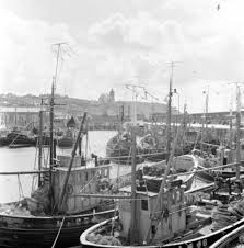 Image result for Carrick Angling Club