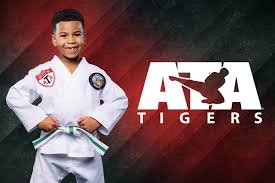 Image result for ATA Martial Arts Maple Ridge