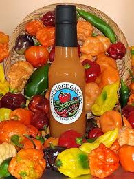 Afbeeldingsresultaat voor chili maya hot pepper hot pepper