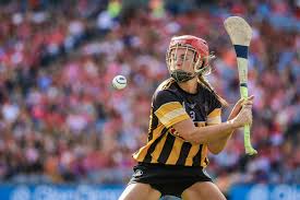 Image result for hurling