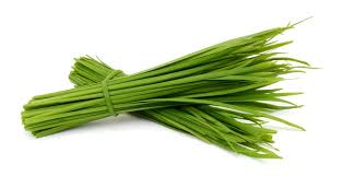 Image result for Schnittknoblauch