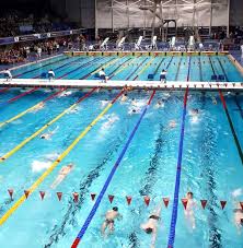 Image result for Loftus Dolphins Swimming Club