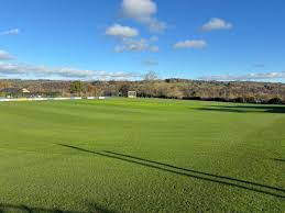 Image result for Tynedale Cricket Club