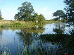 Image result for Bollington & Royal Oak Angling Society