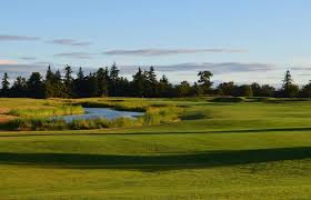 Image result for Bellingham Golf Club