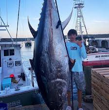 Image result for giant tuna