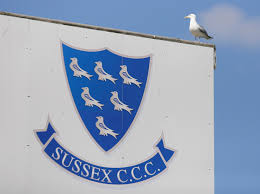 Image result for Sussex County Cricket Club