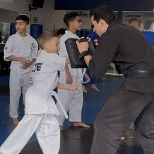 Image result for Elite Martial Arts Academy