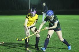 Image result for Edinburgh University Shinty Club