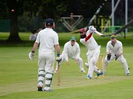 Image result for Buckie Cricket Club