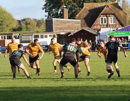 Image result for Weybridge Vandals Rugby Club
