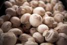 Button Mushrooms Contain As Much Anti-oxidants As Expensive Ones