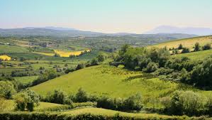 Image result for Ardglass Gfc