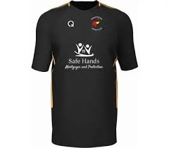 Image result for Croesyceiliog Cricket Club