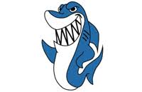 Image result for Sharks Swimming Club Of Mottingham