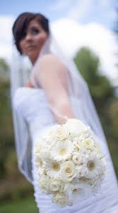 Image result for White Rose Canoe Club