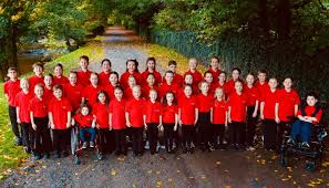 Image result for Rostrevor Hurling Club