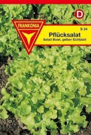 Image result for Pflücksalat