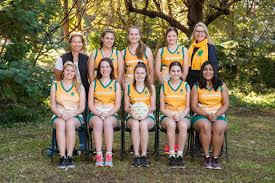 Image result for Aylesbury Jnl Netball Club